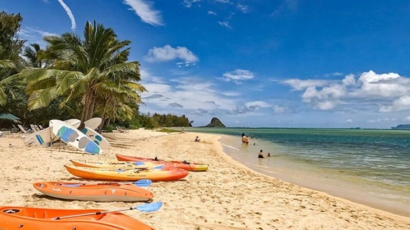 Oahu: Secret Beach Circle Island Adventure - The Itinerary: What You’ll Experience
