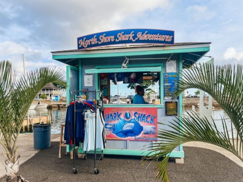 Oahu: Shark Cage Dive on the North Shore - Practical Tips for Your Shark Cage Experience