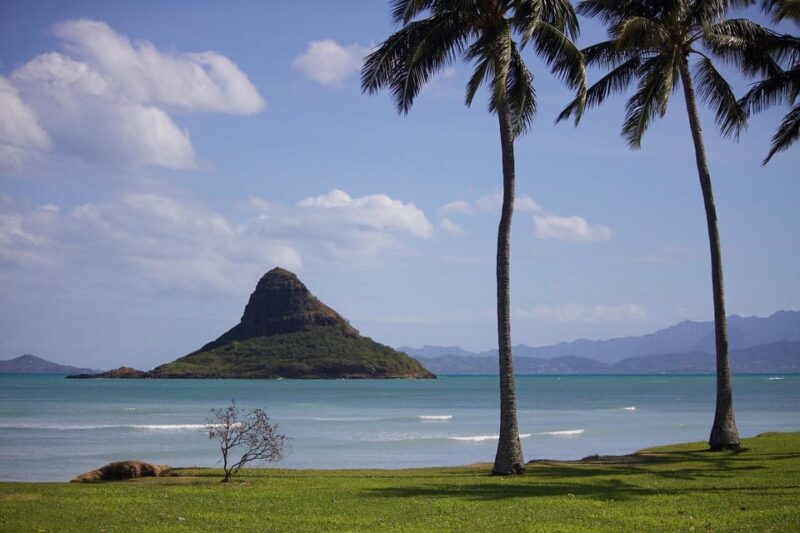 Oahu Sights and Shopping Slingshot Tour - An In-Depth Look at the Experience