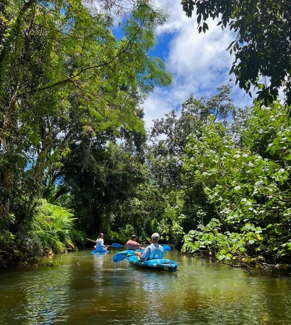 Oahu: Single & Double Kayak 3-Hour River Rental - Key Points
