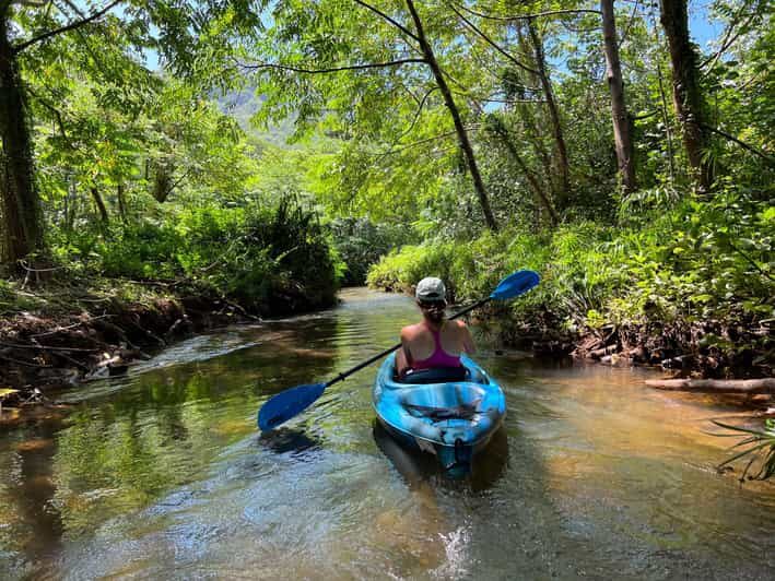 Oahu: Single & Double Kayak 3-Hour River Rental - What to Expect on Your Kayaking Adventure