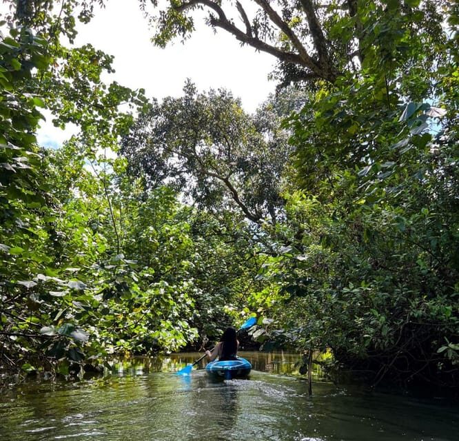 Oahu: Single & Double Kayak 3-Hour River Rental - The Value of This Experience