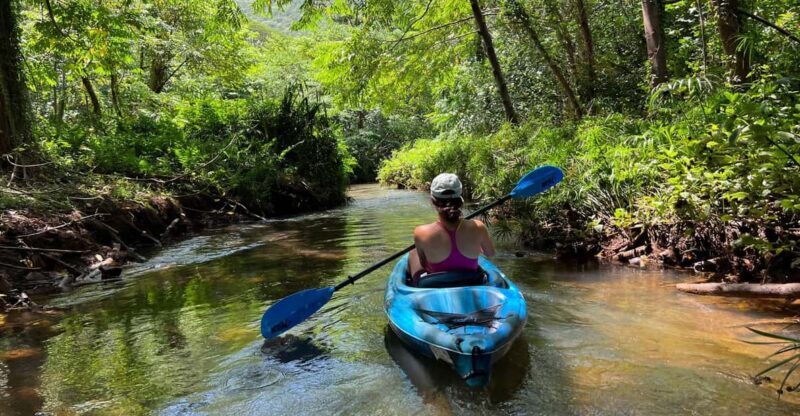 Oahu: Single & Double Kayak 3-Hour River Rental - The Sum Up