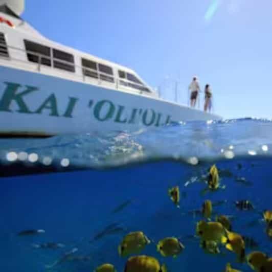 Oahu: Snorkeling & Dolphin Watch Cruise with Hawaiian Buffet - An In-Depth Look at the Experience