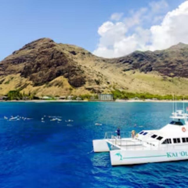Oahu: Snorkeling & Dolphin Watch Cruise with Hawaiian Buffet - What Sets This Tour Apart?
