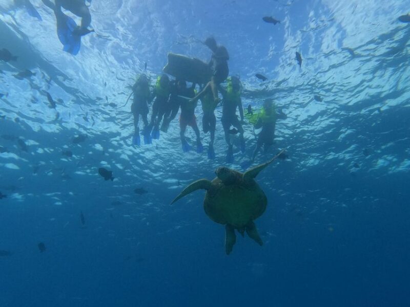 Oahu Snorkeling with Turtles, Water Scooter, Paddleboard - A Closer Look at the Tour Experience