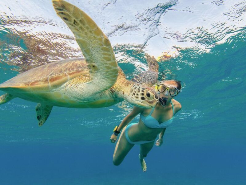 Oahu Snorkeling with Turtles, Water Scooter, Paddleboard - Frequently Asked Questions