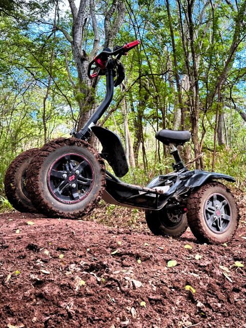 Oahu: Stand-Up ATV Adventure at Coral Crater Adventure Park - The Experience: What You Can Expect