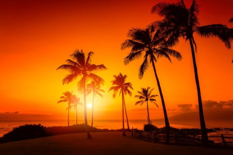 Oahu: Sunset Cruise of West Oahu with Drinks and Appetizers - In-Depth Look at the Sunset Cruise Experience