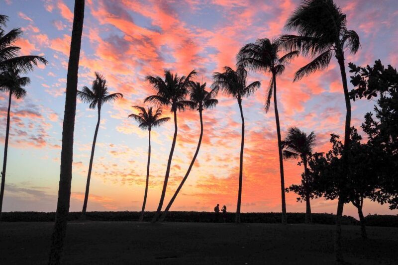 Oahu: Sunset Cruise of West Oahu with Drinks and Appetizers - Authentic Reviewer Insights