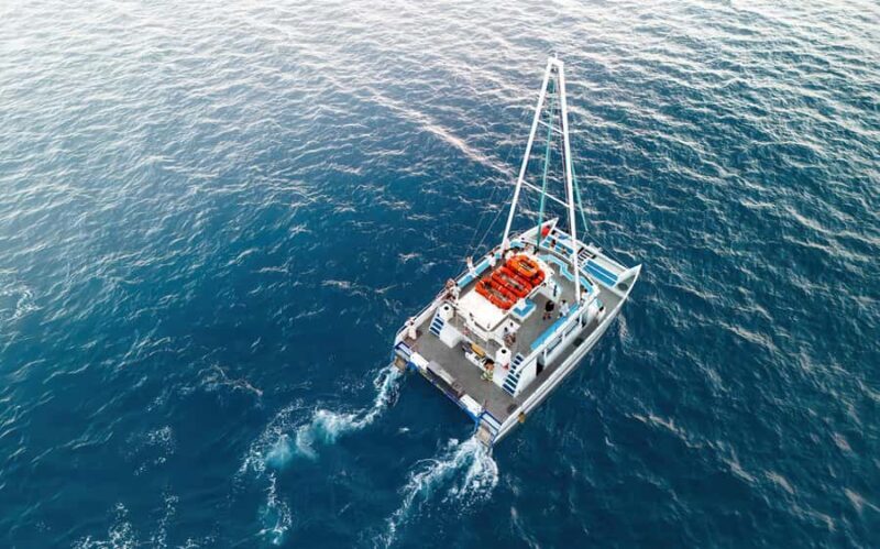 Oahu: Sunset Sail Cruise in Waikiki - What the Reviews Say