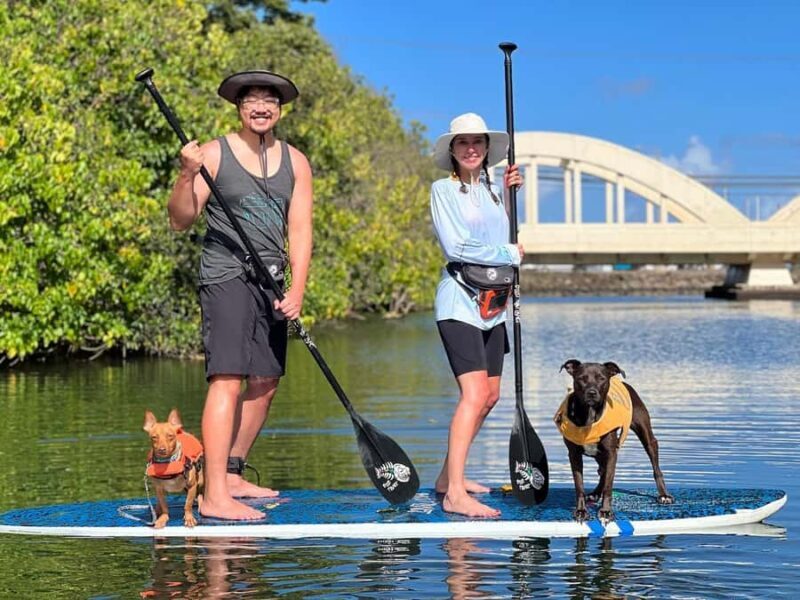 Oahu: SUPDog Experience - Paddle Board with Rescue Dogs - A Closer Look at the SUPDog Experience