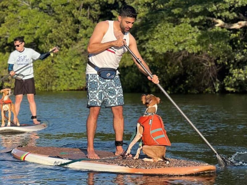 Oahu: SUPDog Experience - Paddle Board with Rescue Dogs - Why This Tour Stands Out