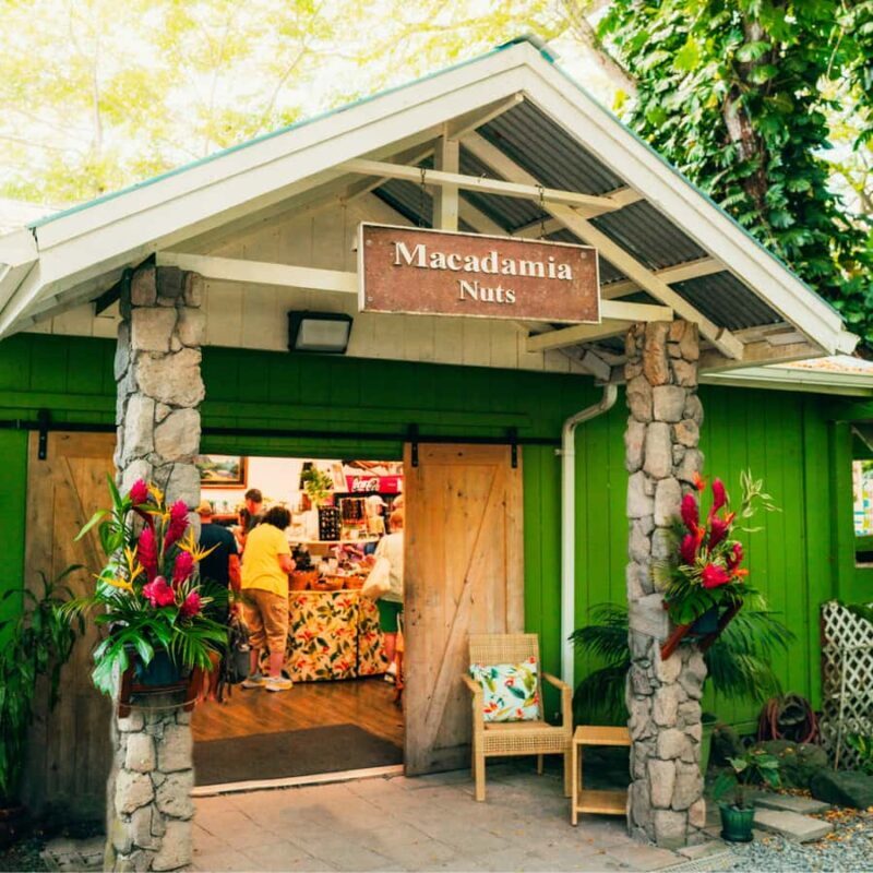 Oahu: The Ultimate Private Circle Island Tour 1-4 Guests - Pricing & Value