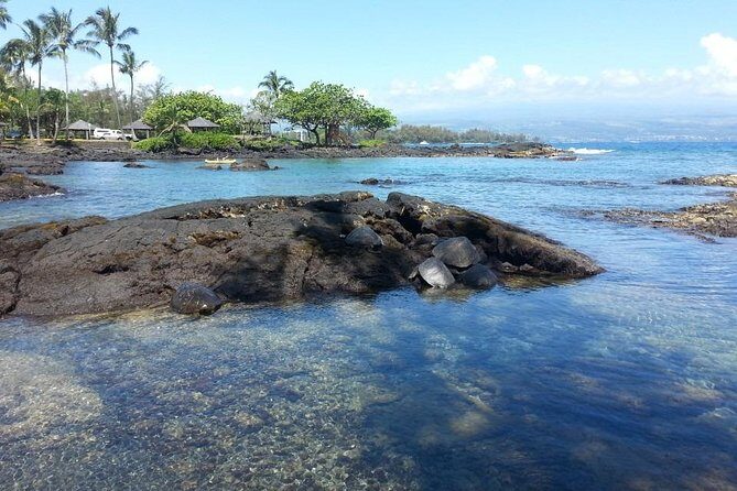 Oahu to Big Island 1 Day Trip : Volcano Tour from Oahu with Air Ticket - Who Would Love This Tour?
