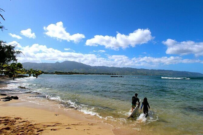 Oahu Tour - Pearl Harbor, Dole Pineapple & Oahu Tour - A Deep Dive Into the Oahu Experience