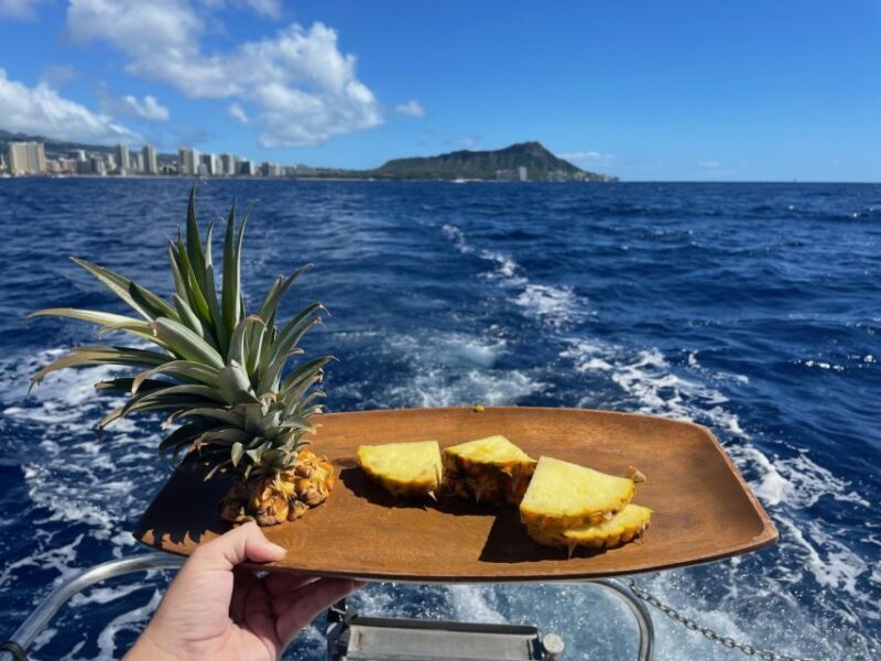 Oahu: Turtle Canyon Snorkeling Boat Tour - FAQ
