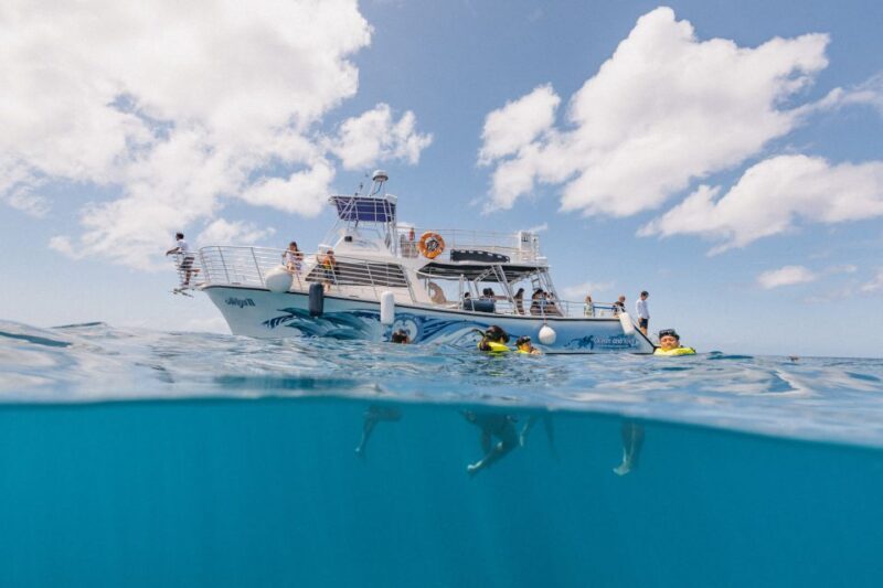 Oahu: Turtle Canyon Snorkeling & Hula Dance - A Detailed Look at the Experience