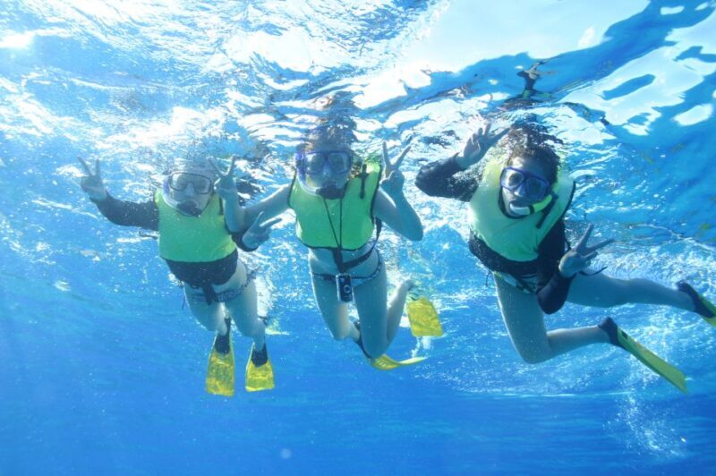 Oahu: Turtle Canyon Snorkeling & Hula Show - FAQ