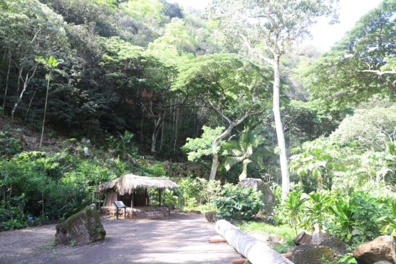 Oahu: Valley of Waimea Falls Swim & Hike with Lunch & Dole - FAQ