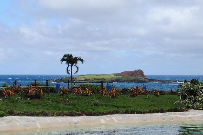 OAHU VOLCANO AND BEACHES - Tour in Spanish - The Sum Up