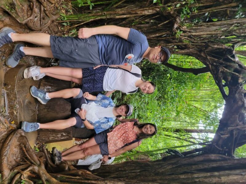 Oahu: Waikiki E-Bike Ride and Manoa Falls Hike - The Sum Up