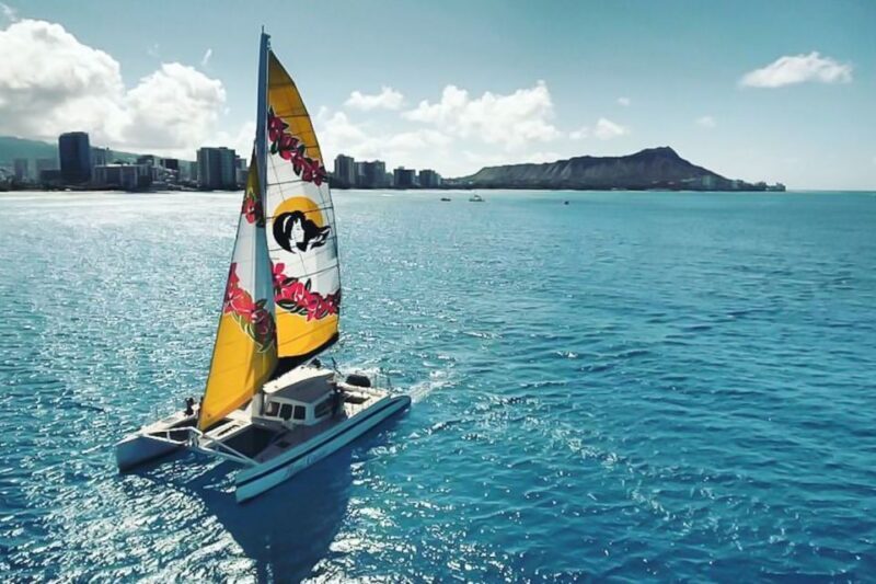 Oahu: Waikiki Eco-Friendly Morning Whale Watching Cruise - Key Points