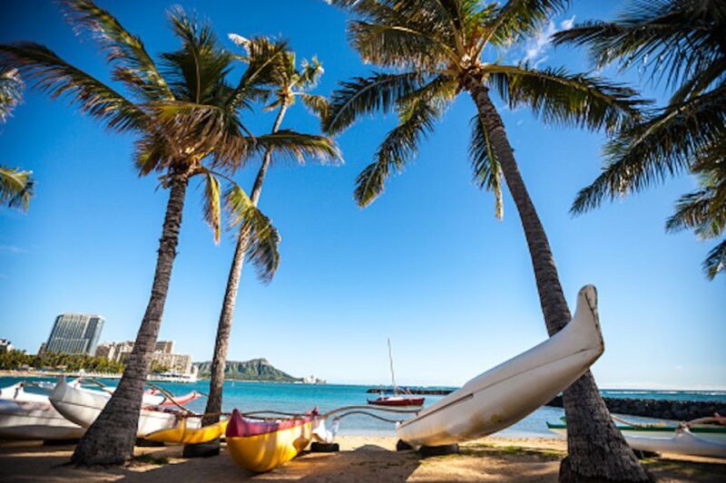 Oahu: Waikiki Kayak Tour and Snorkeling with Sea Turtles - Who Is This Tour Best For?