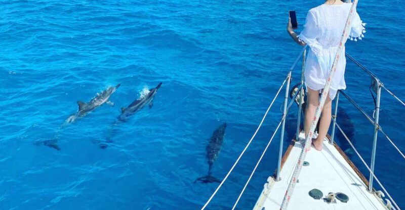 Oahu : Waikiki sailing turtle snorkeling in small groups - Key Points