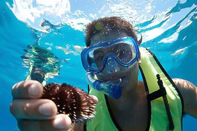 Oahu: Waikiki Snorkel and Sailing Trip with Lunch - Key Points