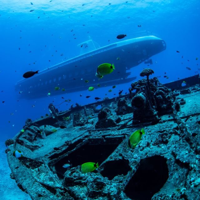 Oahu: Waikiki Submarine Tour - FAQ