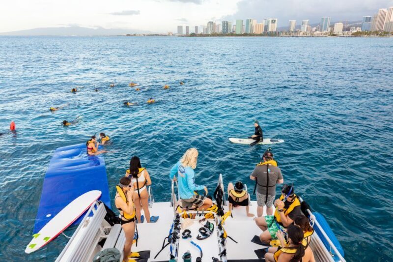 Oahu: Waikiki Turtle Canyons Cruise and Snorkel Excursion - An In-Depth Look at the Experience
