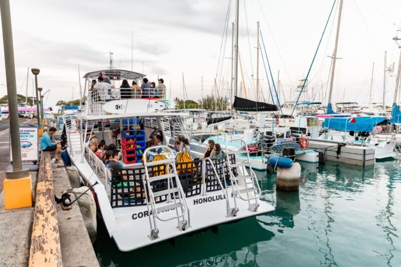 Oahu: Waikiki Turtle Canyons Cruise and Snorkel Excursion - The Sum Up