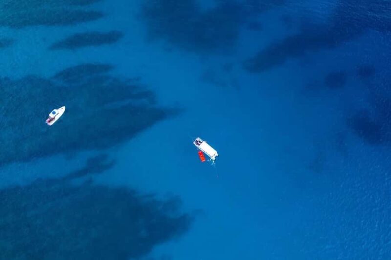 Oahu: Waikiki Whale Watch Boat Tour - Key Points