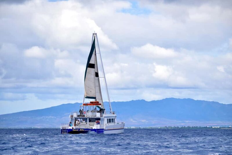 Oahu: Waikiki Whale Watching Cruise - The Itinerary in Detail