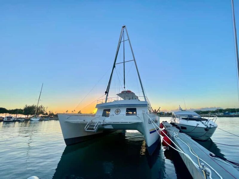 Oahu: Waikiki Whale Watching Cruise - Who Should Consider This Tour?