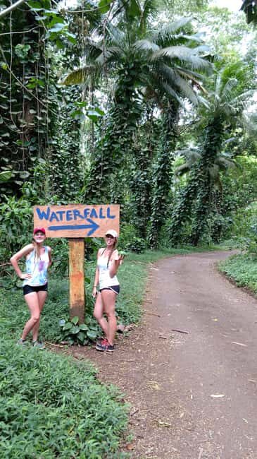 Oahu: Waterfall Hike via Scenic South Shore Drive - Final Thoughts