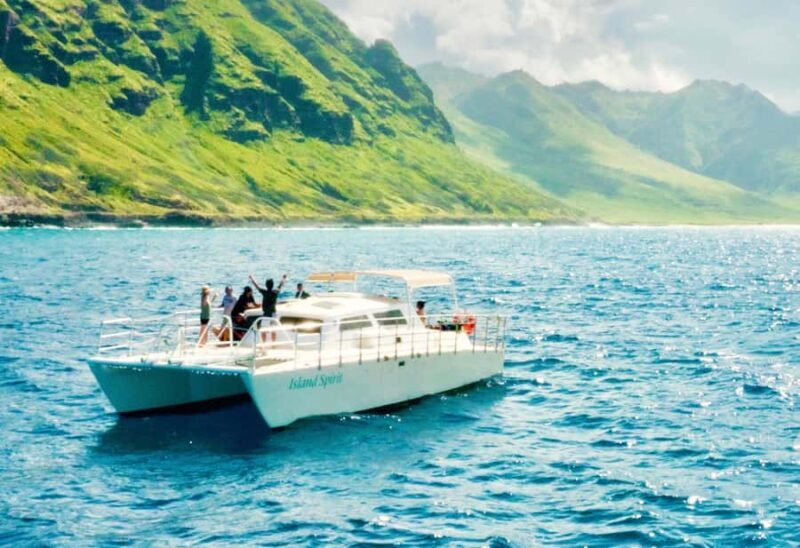 O'ahu West Coast Whale Watching and Turtle Snorkeling - Who Will Love This Tour?