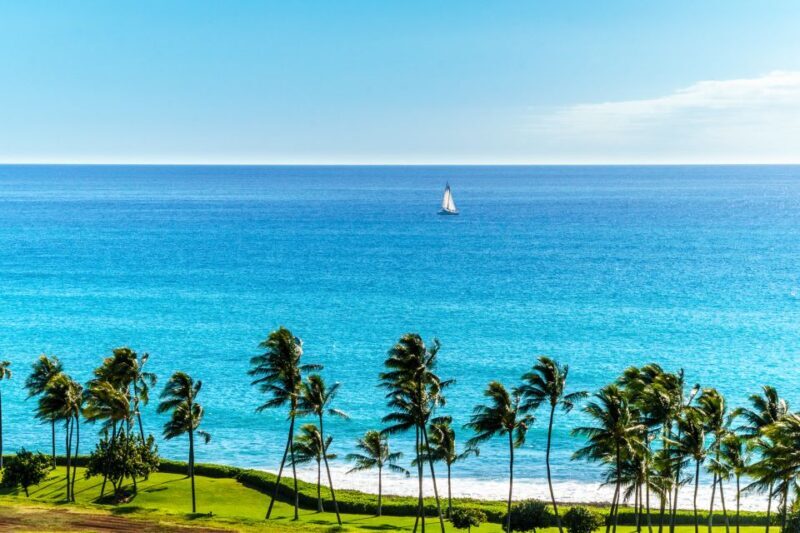 Oahu: West Oahu Sunset Cruise with Cocktails and Appetizers - Who Should Consider This Cruise?