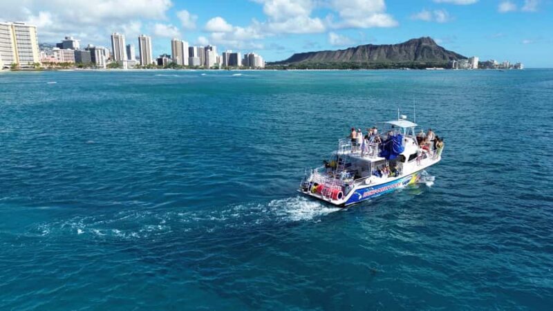 Oahu: Whale Watching Sunset Cruise Whales Guaranteed - Setting Sail: What to Expect on Your Whale Watching Sunset Cruise