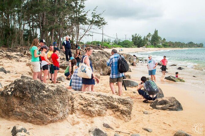 Oahu's Cheapest Circle Island Tour - What You Can Expect from This Circle Island Tour