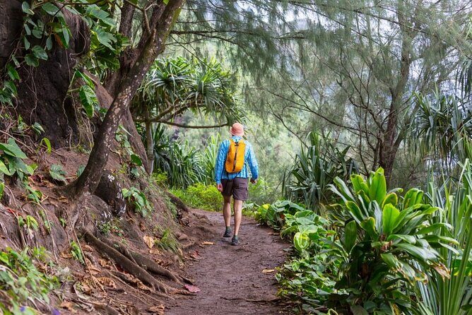 Oahu's North Shore Self-Guided Audio Tour - The Experience in Detail