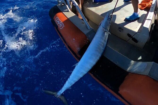Oahu's Unique Whale Watching and Fishing Charter - Oahu’s Unique Whale Watching and Fishing Charter: An Honest Review