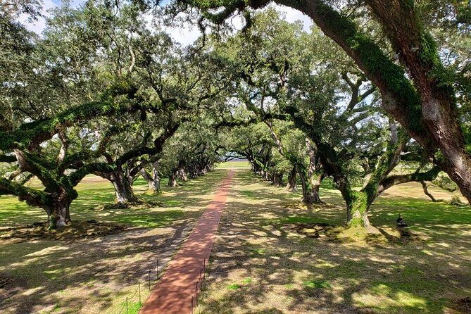 Oak Alley and Laura Plantation Tour with Transportation from New Orleans - Frequently Asked Questions