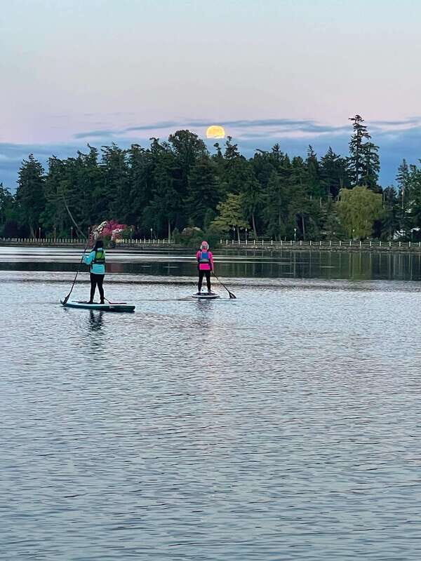 Oak Bay: Full Moon Paddle Experience - The Itinerary in Detail