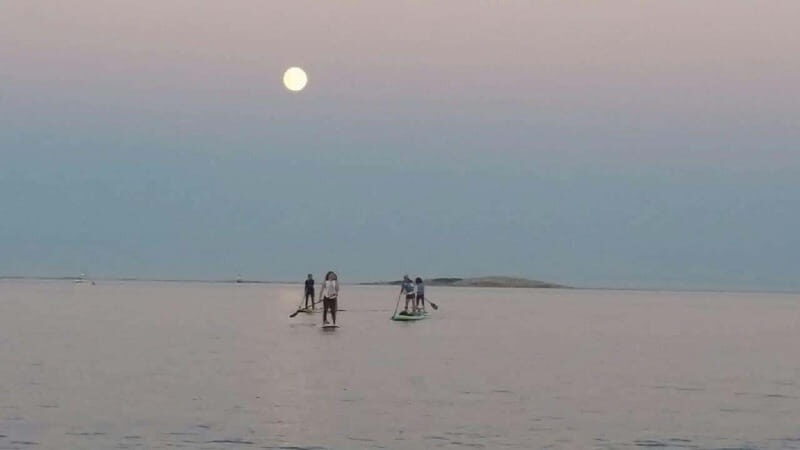 Oak Bay: Full Moon Paddle Experience - Who Will Love This Tour?