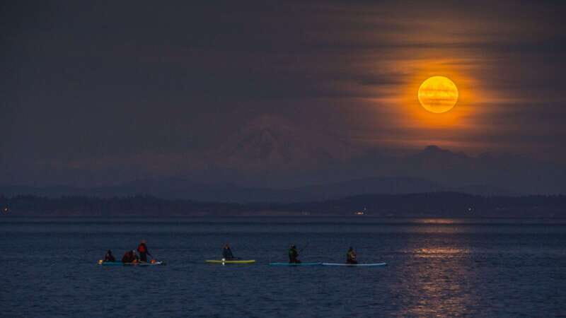 Oak Bay: Full Moon Paddle Experience - The Sum Up