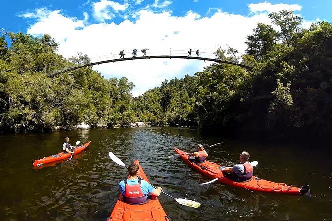 Oarsome Marine Reserve Kayak Tour - The Sum Up
