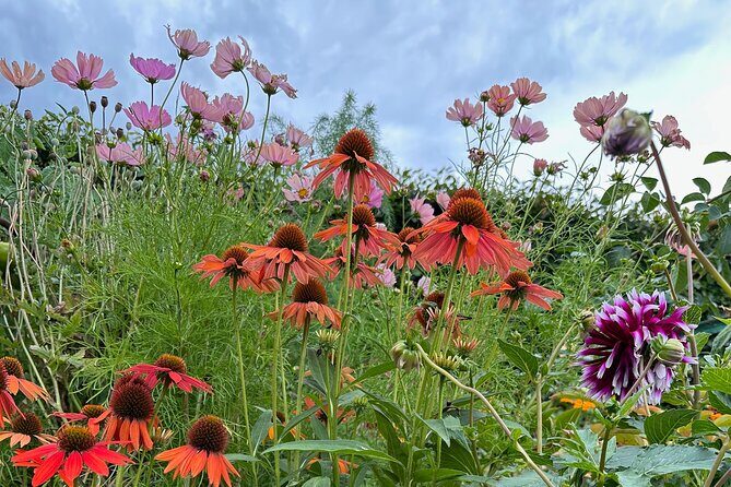 Oasis Cottage Gardens and Floristry Studio in Oxford, NZ - The Itinerary: What to Expect