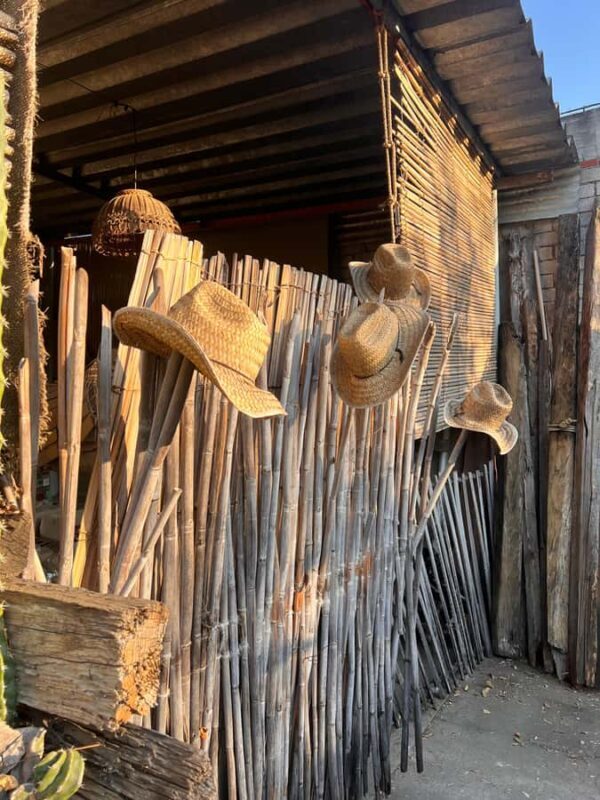 Oaxaca: Aguamiel, Pulque and Mezcal Tasting - Key Points